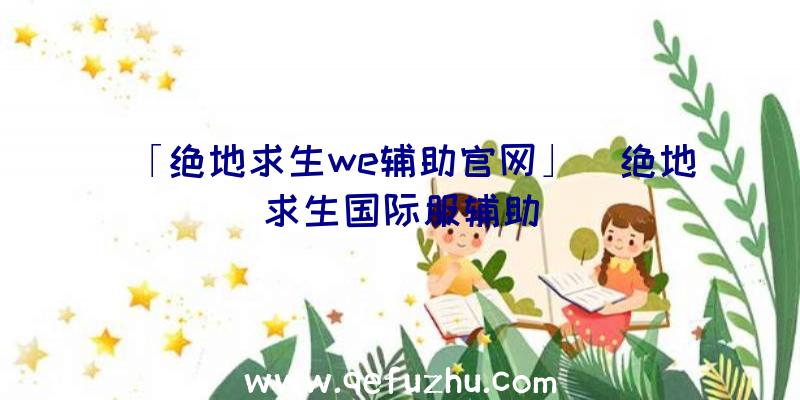 「绝地求生we辅助官网」|绝地求生国际服辅助